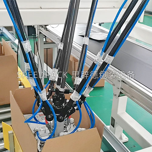 High-Speed Delta Parallel Robot Case Packer